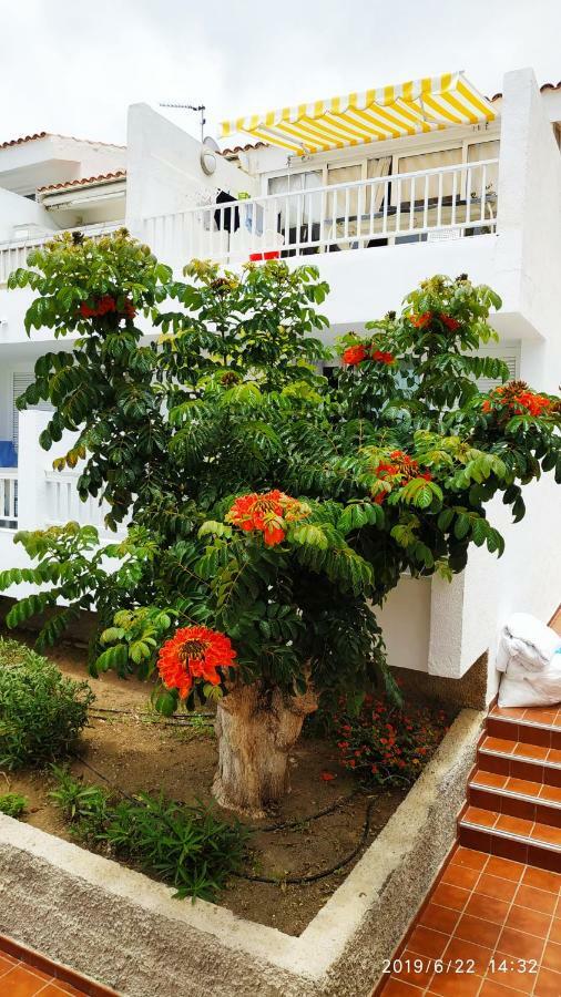 Club El Paradero Playa de las Americas  Ngoại thất bức ảnh